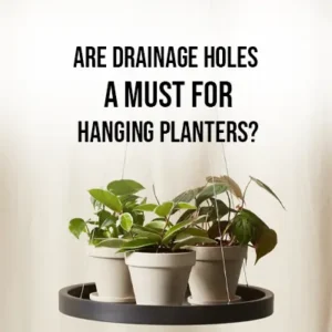 Are Drainage Holes a Must for Hanging Planters?