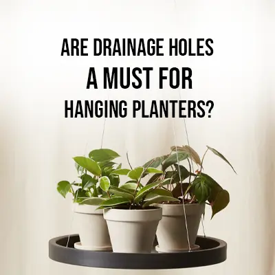 Are Drainage Holes a Must for Hanging Planters?