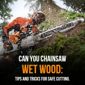 Can You Chainsaw Wet Wood Tips and Tricks for Safe Cutting
