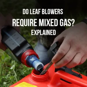 Do Leaf Blowers Require Mixed Gas_Explained