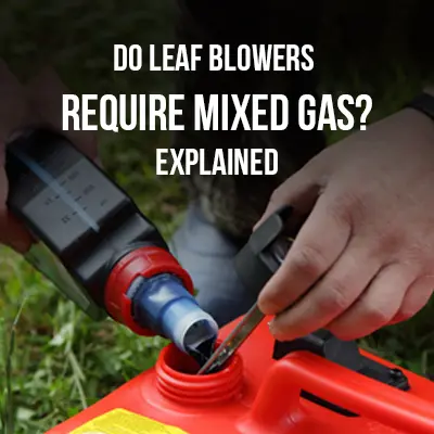 Do Leaf Blowers Require Mixed Gas_Explained