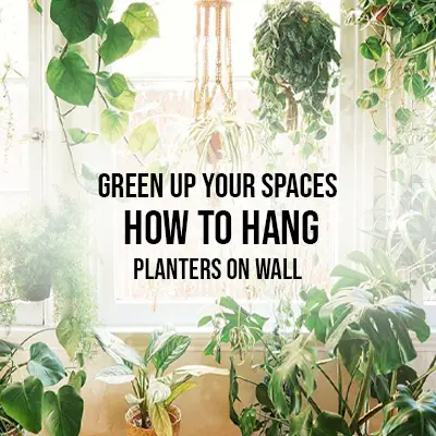 Green up Your Spaces How to Hang Planters on Wall