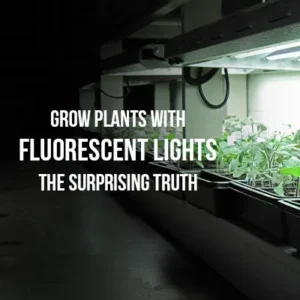 Grow Plants with Fluorescent Lights: The Surprising Truth