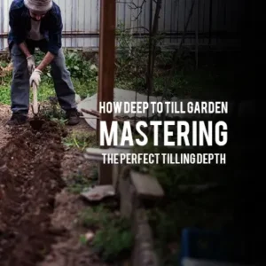 How Deep to Till Garden Mastering the Perfect Tilling Depth.