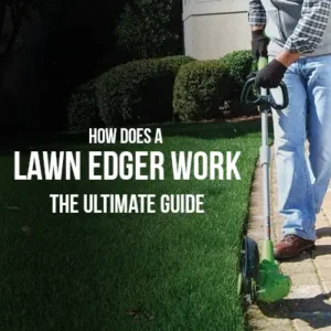 How Does a Lawn Edger Work The Ultimate Guide