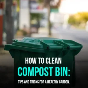 How to Clean Compost Bin Tips and Tricks for a Healthy Garden