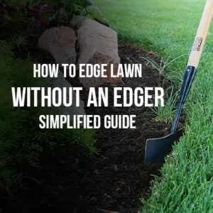 How to Edge Lawn Without an Edger Simplified Guide