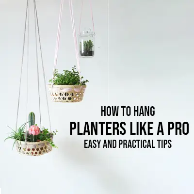 How to Hang Planters Like a Pro Easy and Practical Tips
