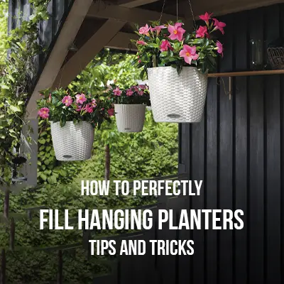 How to Perfectly Fill Hanging Planters Tips and Tricks