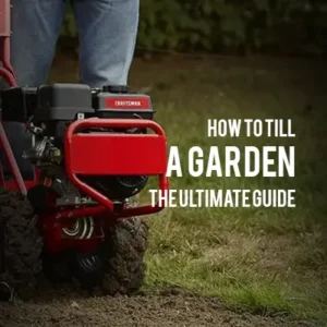 How to Till a Garden The Ultimate Guide