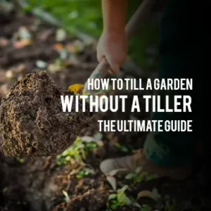 How to Till a Garden Without a Tiller The Ultimate Guide