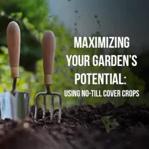 Maximizing Your Garden’s Potential: Using No-Till Cover Crops