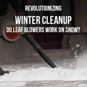 Revolutionizing Winter Cleanup Do Leaf Blowers Work on Snow