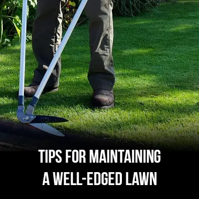 Tips For Maintaining A Well-Edged Lawn