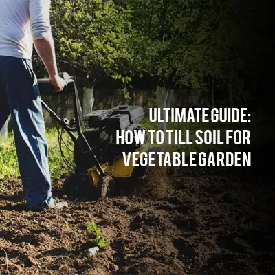 Ultimate Guide_How to Till Soil for_Vegetable Garden