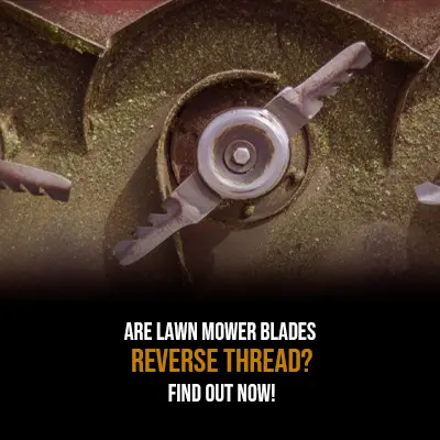 Are Lawn Mower Blades Reverse Thread Find Out Now