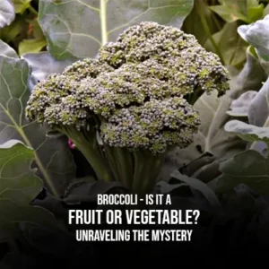 Broccoli - Is it a Fruit or Vegetable Unraveling the Mystery