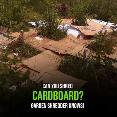 Can You Shred Cardboard Garden Shredder Knows