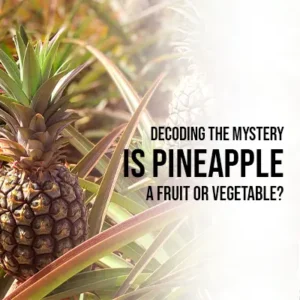 Decoding the Mystery Is Pineapple a Fruit or Vegetable
