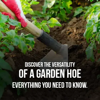 Discover the Versatility of a Garden Hoe