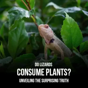 Do Lizards Consume Plants Unveiling the Surprising Truth
