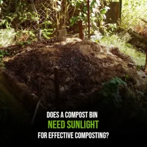 Does a Compost Bin Need Sunlight for Effective Composting