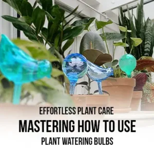 Effortless Plant Care Mastering How to Use Plant Watering Bulbs