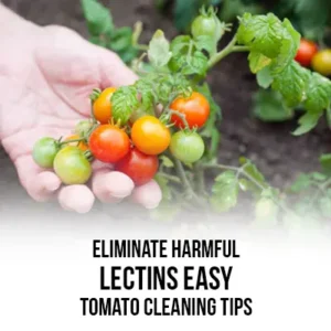 Eliminate Harmful Lectins Easy Tomato Cleaning Tips