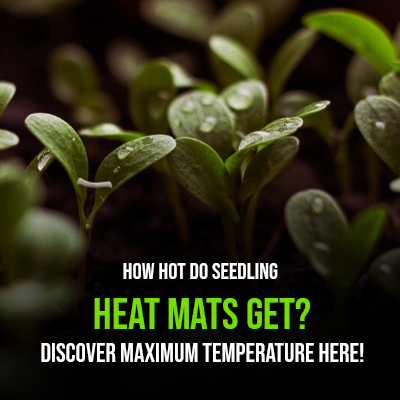 How Hot Do Seedling Heat Mats Get Discover Maximum Temperature Here