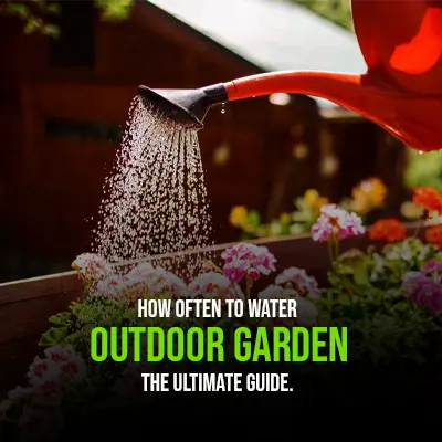 How Often to Water Outdoor Garden The Ultimate Guide