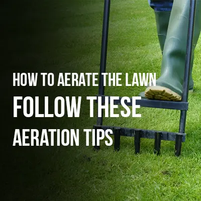How to Aerate the Lawn Follow These Aeration Tips