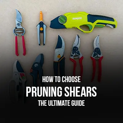 How to Choose Pruning Shears The Ultimate Guide