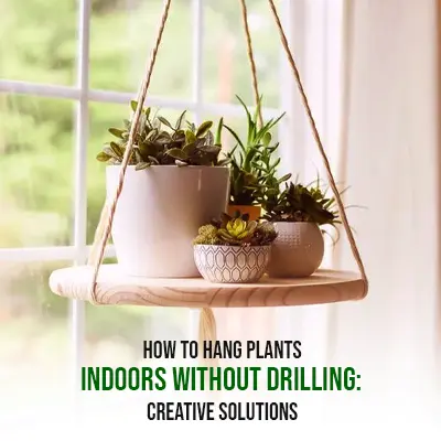 How to Hang Plants Indoors Without Drilling Creative Solutions