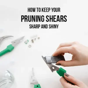 How to Keep Your Pruning Shears Sharp and Shiny