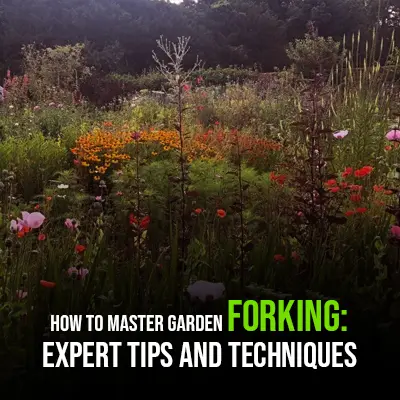 How to Master Garden Forking Expert Tips and Techniques