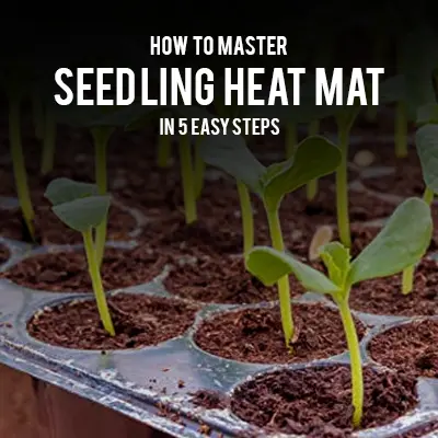 How to Master Seedling Heat Mat in 5 Easy Steps