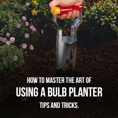 How to Master the Art of Using a Bulb Planter Tips and Tricks
