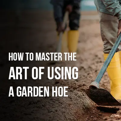 How to Master the Art of Using a Garden Hoe