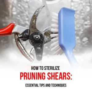 How to Sterilize Pruning Shears Essential Tips and Techniques