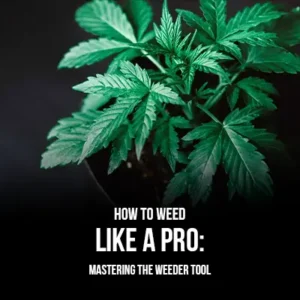 How to Weed Like a Pro Mastering the Weeder Tool