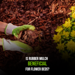 Is Rubber Mulch Beneficial for Flower Beds