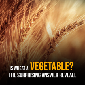 Is Wheat a Vegetable The Surprising Answer Revealed