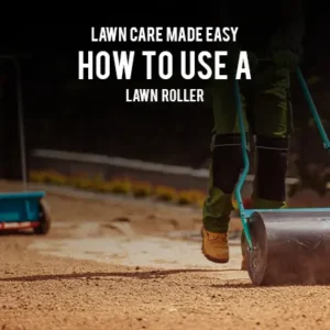 Lawn Care Made Easy How to Use a Lawn Roller