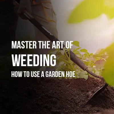 Master the Art of Weeding How to Use a Garden Hoe