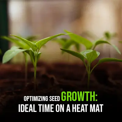 Optimizing Seed Growth Ideal Time on a Heat Mat