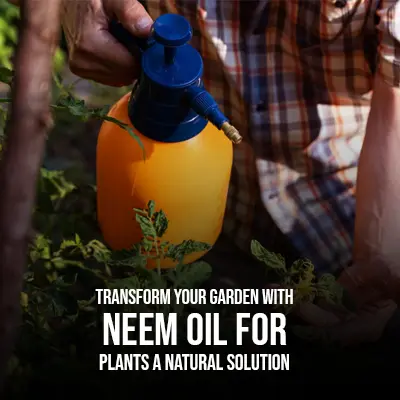 Transform Your Garden with Neem Oil for Plants A Natural Solution.