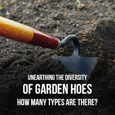 Unearthing the Diversity of Garden Hoes How Many Types are There