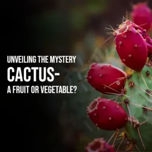 Unveiling the Mystery Cactus A Fruit or Vegetable