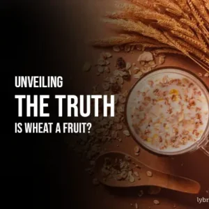 Unveiling the Truth Is Wheat a Fruit