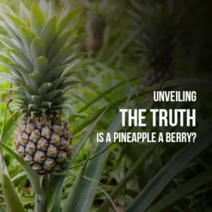 Unveiling the Truth Is a Pineapple a Berry